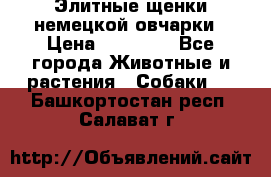 Элитные щенки немецкой овчарки › Цена ­ 30 000 - Все города Животные и растения » Собаки   . Башкортостан респ.,Салават г.